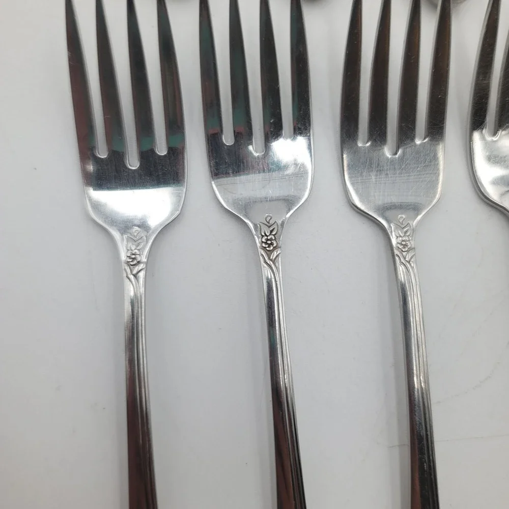 13pc Oneida Community Fantasy Rose Stainless Flatware Set 6 Knives 7 Salad Forks